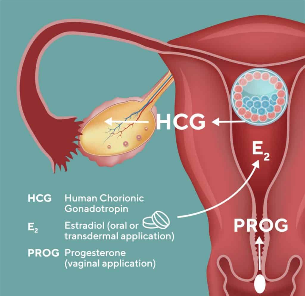 Annorlunda embryo-moderdialog under första trimestern vid äggdonationsgraviditet